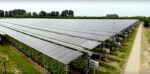 Agrovoltaics—Combining Agriculture and Solar Energy for Dual Benefits